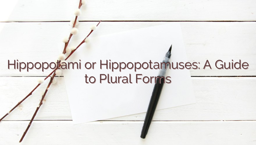 Hippopotami or Hippopotamuses: A Guide to Plural Forms