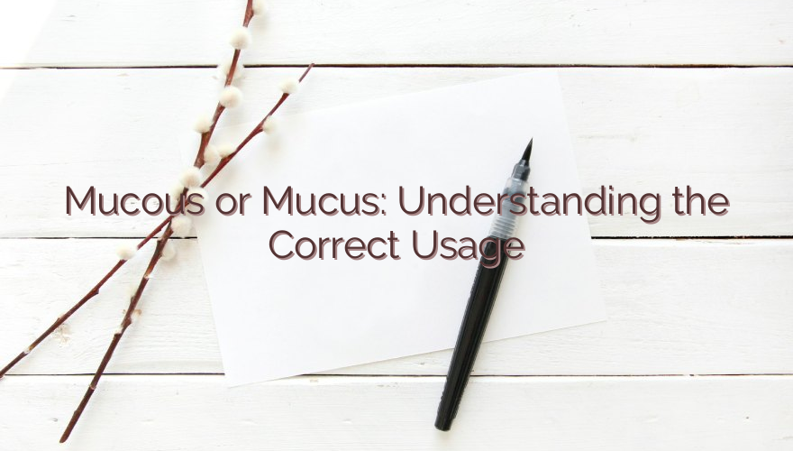 Mucous or Mucus: Understanding the Correct Usage