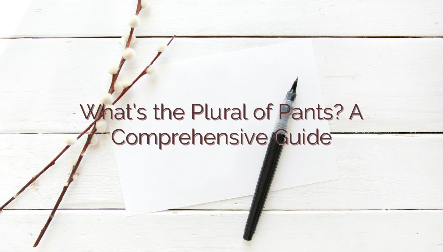 What’s the Plural of Pants? A Comprehensive Guide